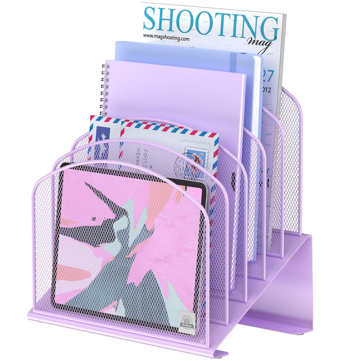 Delifox Inclined File Organizer for Desk, 5-Section Vertical File Holder